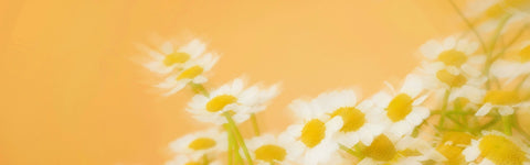 Craft Your Personal Style