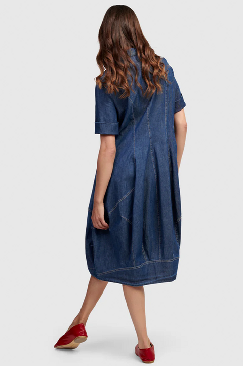Barbie Denim Shirt Dress